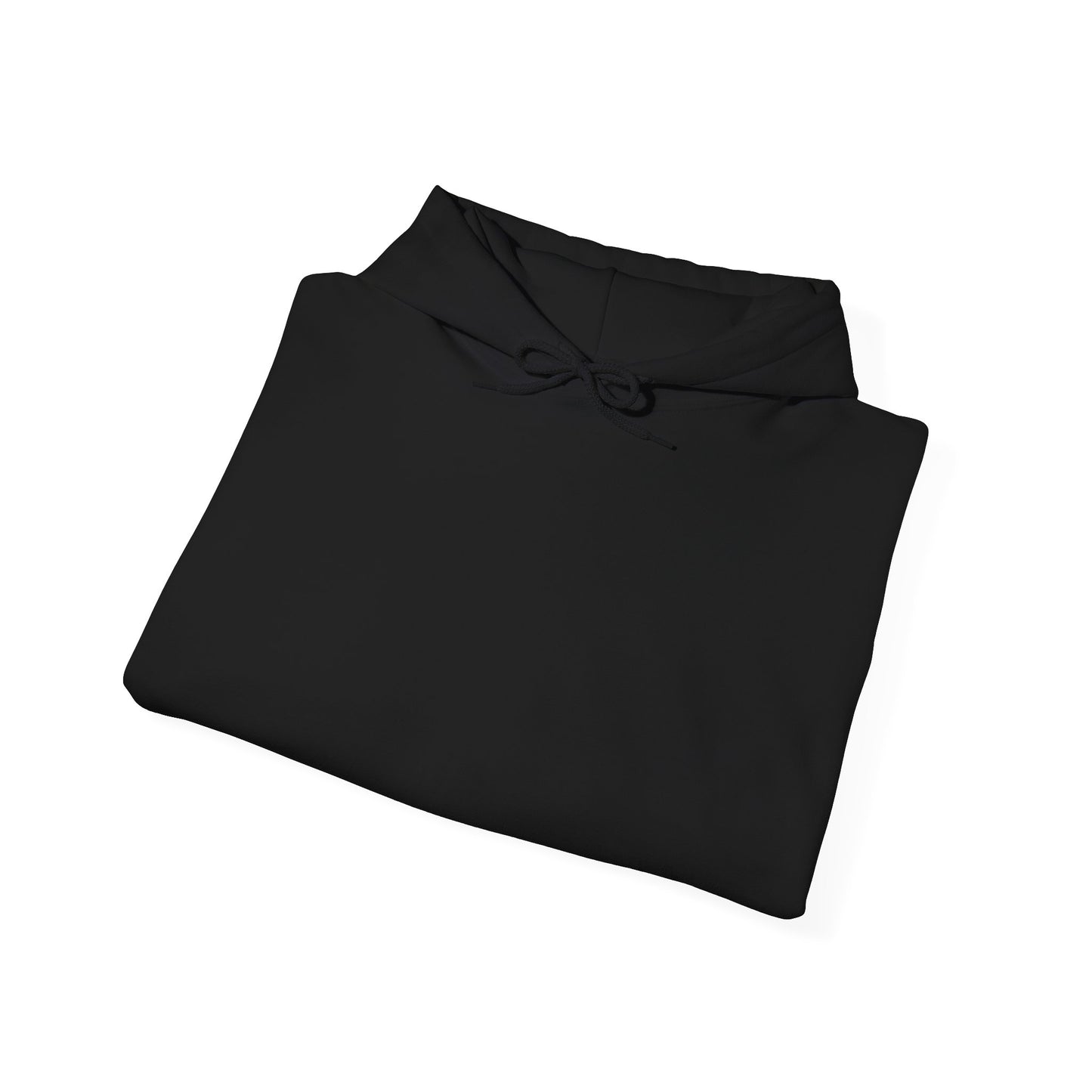 Lash Plug Hooded Sweatshirt