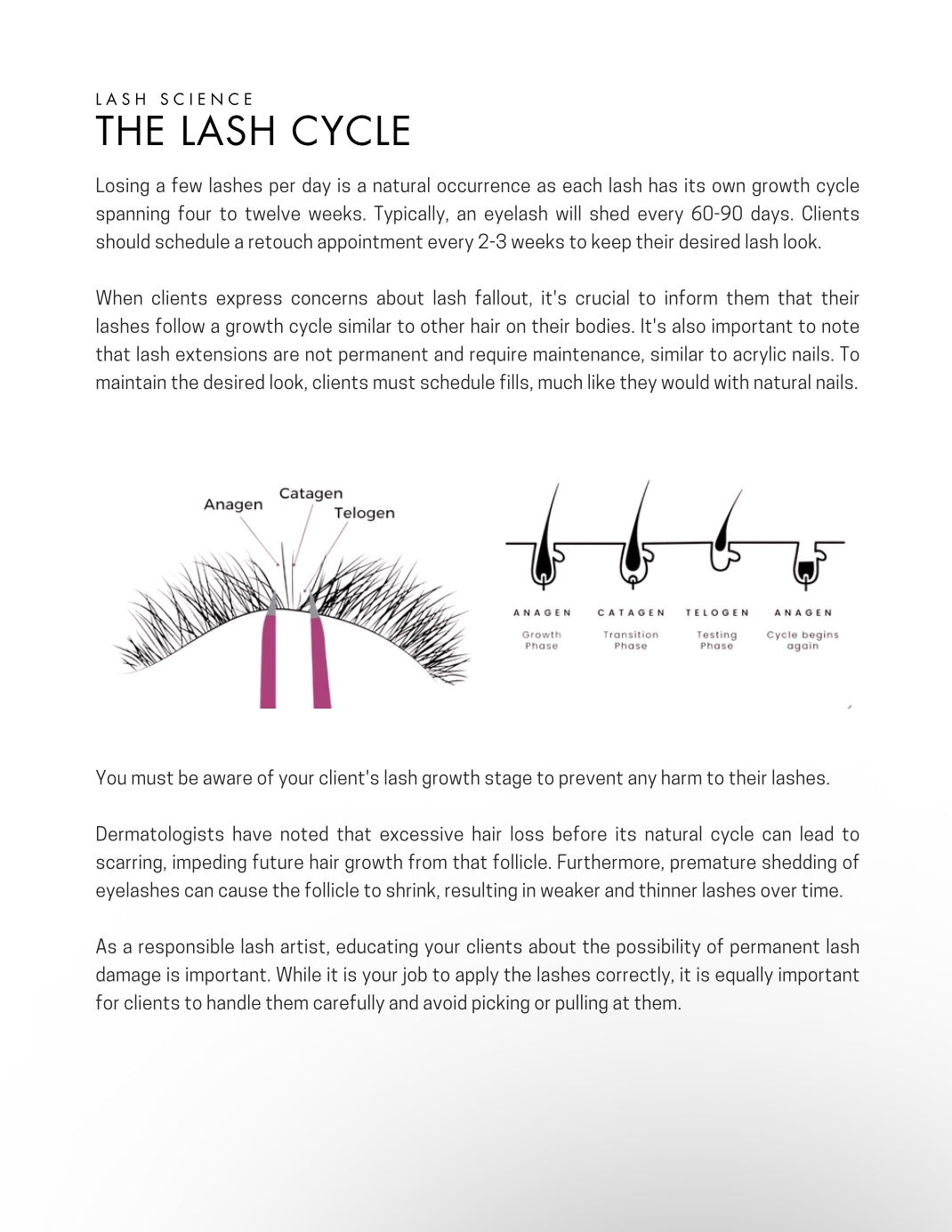 Cherry Picked: The Ultimate Lash Guide